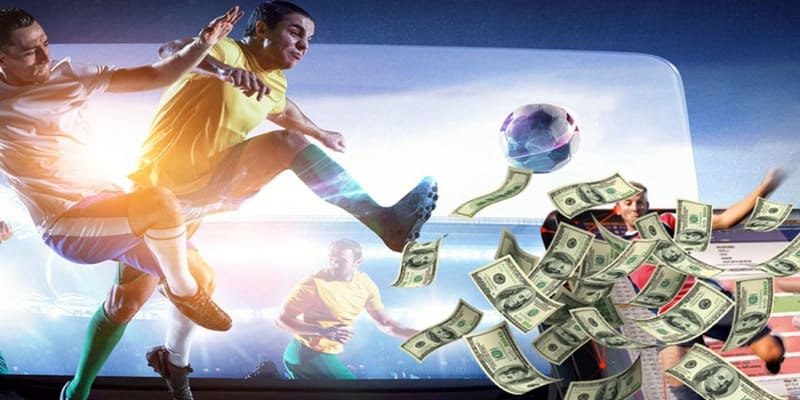 Giao diện cá cược Sbobet 23Win khoa học dễ sử dụng